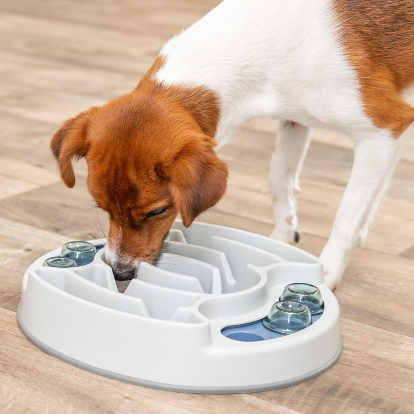 Dog Activity | Pet Strategy Games | Interactive Dog Puzzles | Great for Mental Stimulation