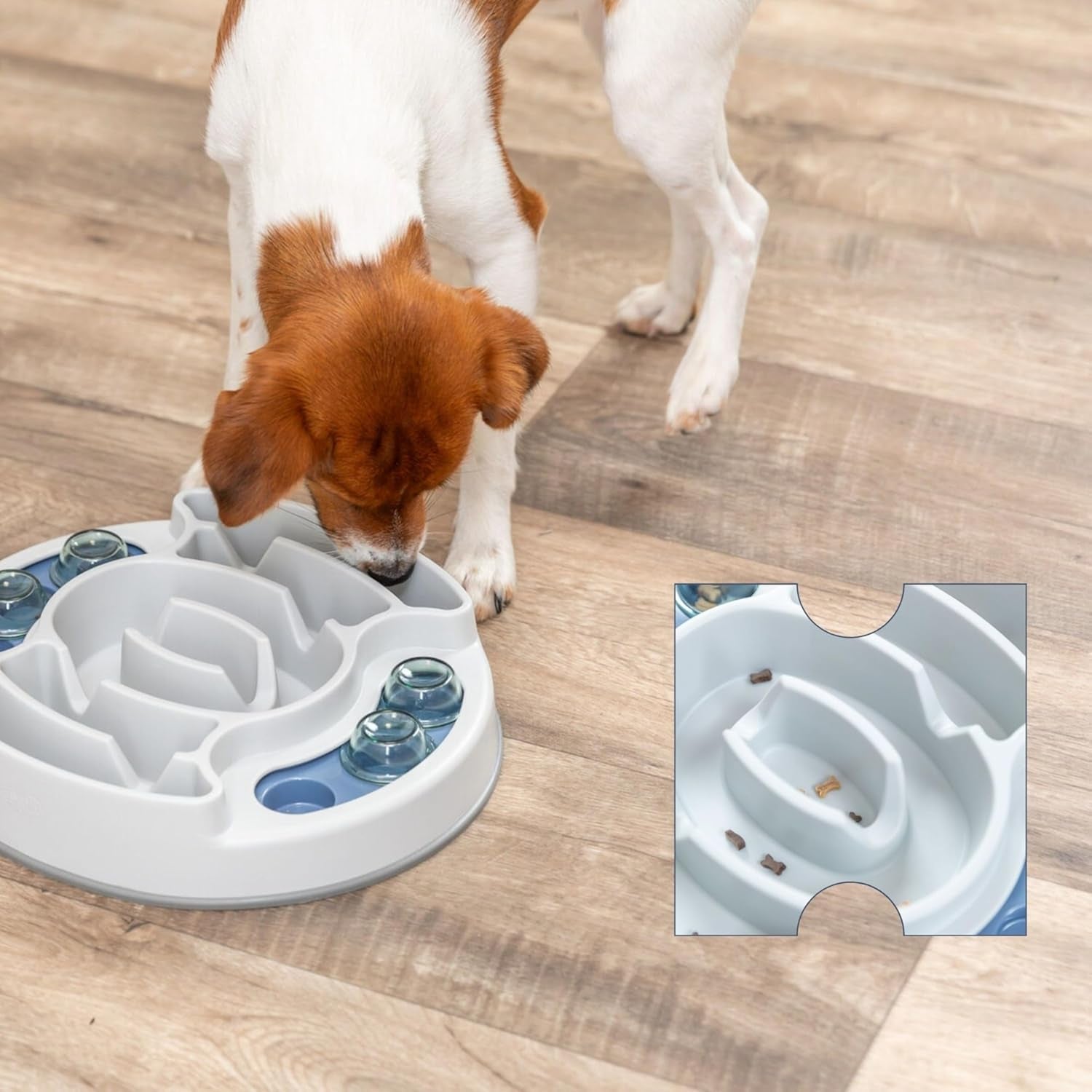 Dog Activity | Pet Strategy Games | Interactive Dog Puzzles | Great for Mental Stimulation