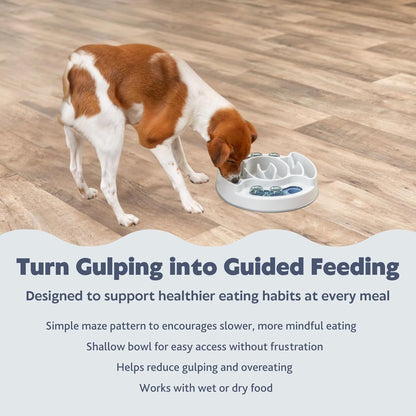 Dog Activity | Pet Strategy Games | Interactive Dog Puzzles | Great for Mental Stimulation