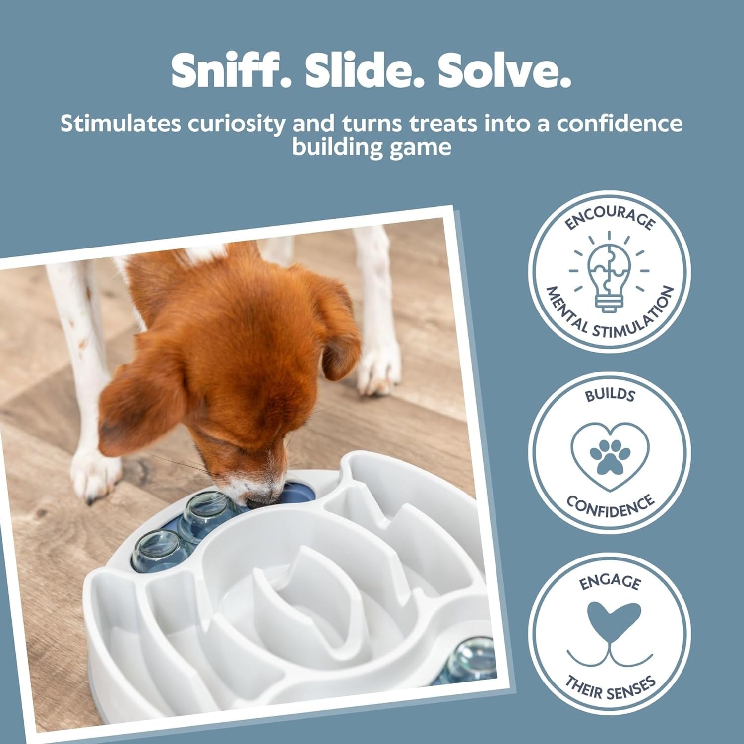 Dog Activity | Pet Strategy Games | Interactive Dog Puzzles | Great for Mental Stimulation